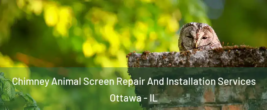  Chimney Animal Screen Repair And Installation Services Ottawa - IL