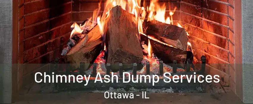  Chimney Ash Dump Services Ottawa - IL