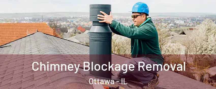  Chimney Blockage Removal Ottawa - IL