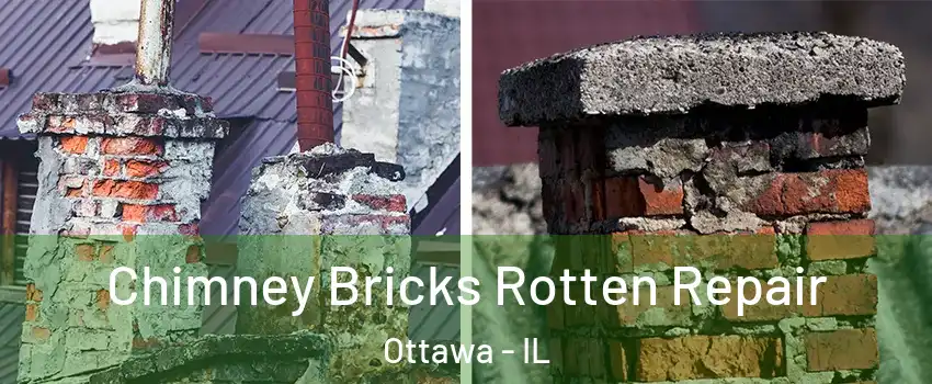  Chimney Bricks Rotten Repair Ottawa - IL