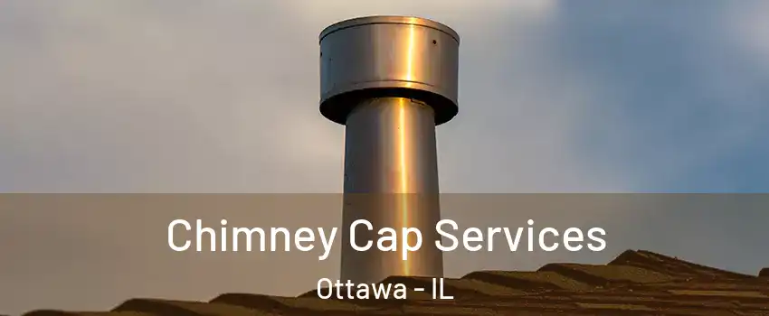  Chimney Cap Services Ottawa - IL