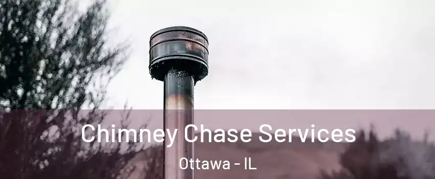  Chimney Chase Services Ottawa - IL