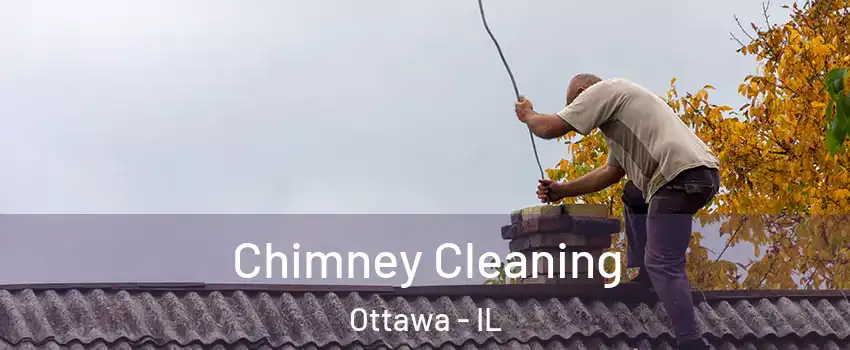  Chimney Cleaning Ottawa - IL