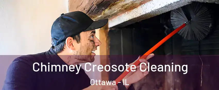  Chimney Creosote Cleaning Ottawa - IL