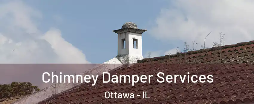  Chimney Damper Services Ottawa - IL