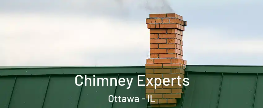  Chimney Experts Ottawa - IL