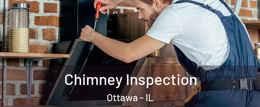  Chimney Inspection Ottawa - IL