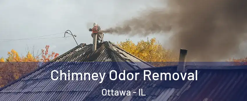  Chimney Odor Removal Ottawa - IL