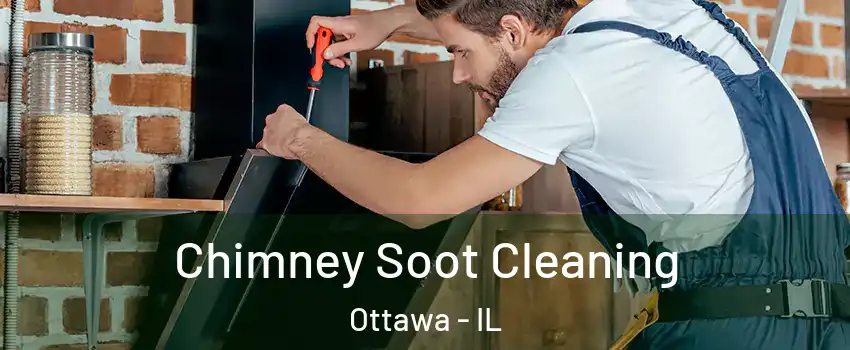  Chimney Soot Cleaning Ottawa - IL