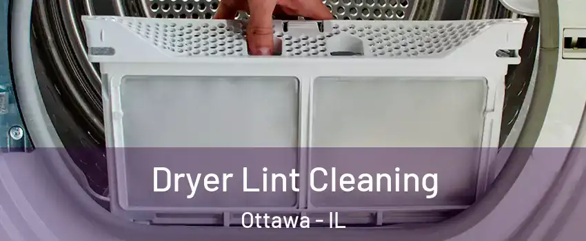  Dryer Lint Cleaning Ottawa - IL