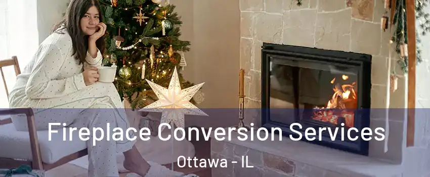  Fireplace Conversion Services Ottawa - IL