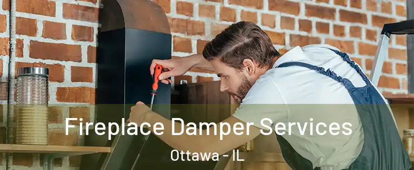  Fireplace Damper Services Ottawa - IL