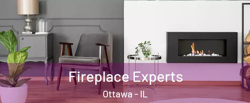  Fireplace Experts Ottawa - IL
