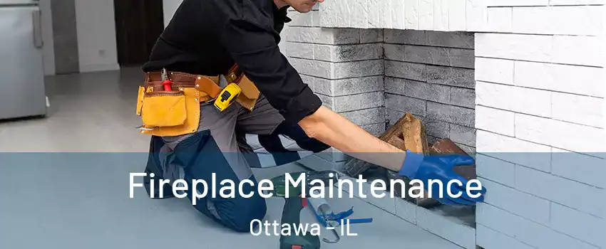  Fireplace Maintenance Ottawa - IL