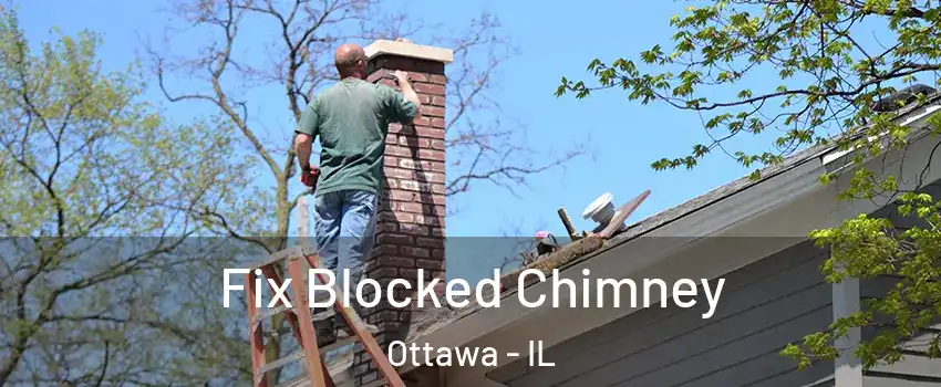  Fix Blocked Chimney Ottawa - IL