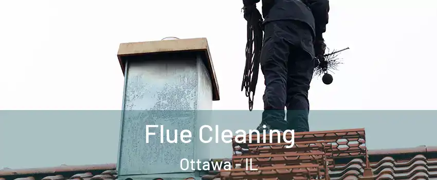  Flue Cleaning Ottawa - IL