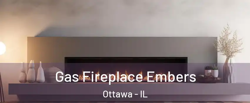  Gas Fireplace Embers Ottawa - IL