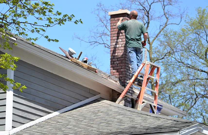 Chimney & Fireplace Inspections Services in Ottawa, IL