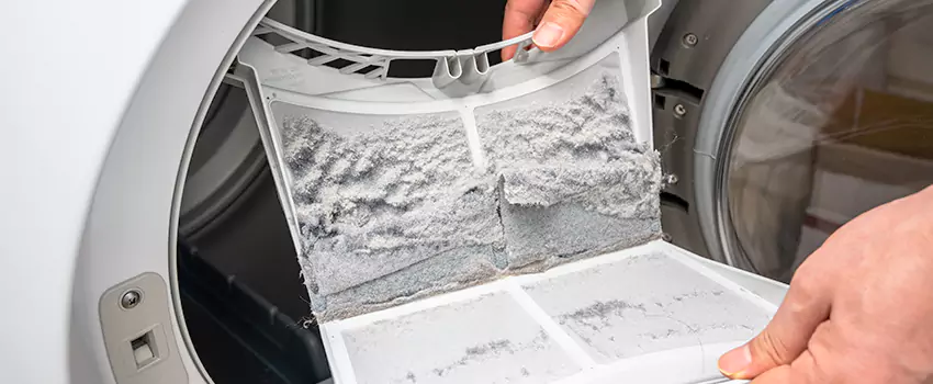 Best Dryer Lint Removal Company in Ottawa, Illinois