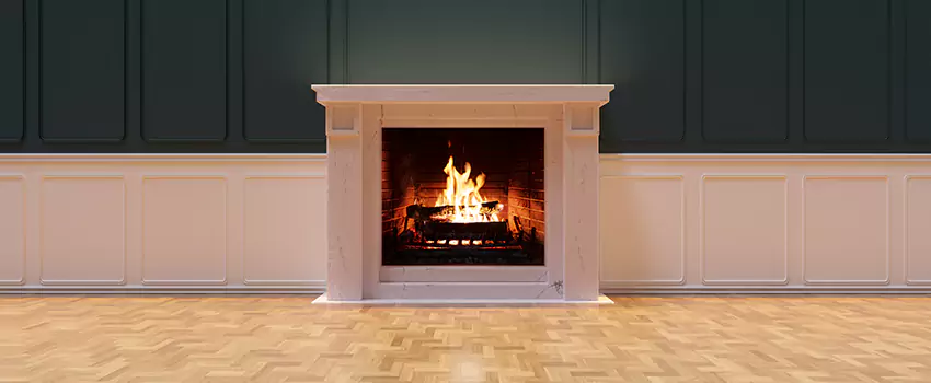 Napoleon Electric Fireplaces Inspection Service in Ottawa, Illinois