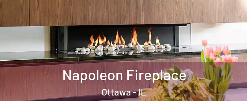  Napoleon Fireplace Ottawa - IL
