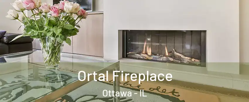 Ortal Fireplace Ottawa - IL